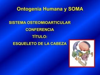 Ontogenia Humana y SOMA
SISTEMA OSTEOMIOARTICULAR
CONFERENCIA
TÍTULO:
ESQUELETO DE LA CABEZA
 