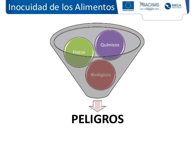 Resultado de imagen para EVALUACION DE peligros biologicos QUIMICOS Y FISICOS en alimentos