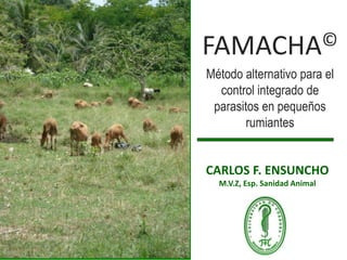 FAMACHA© Método alternativo para el control integrado de parasitos en pequeños rumiantes CARLOS F. ENSUNCHOM.V.Z, Esp. Sanidad Animal 