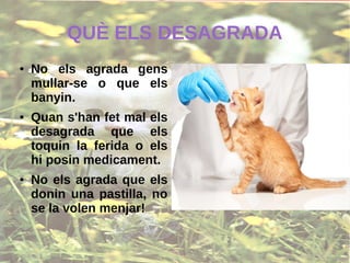 QUÈ ELS DESAGRADA
● No els agrada gens
mullar-se o que els
banyin.
● Quan s'han fet mal els
desagrada que els
toquin la ferida o els
hi posin medicament.
● No els agrada que els
donin una pastilla, no
se la volen menjar!
 