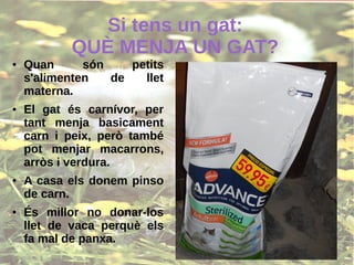 Si tens un gat:
QUÈ MENJA UN GAT?
● Quan són petits
s'alimenten de llet
materna.
● El gat és carnívor, per
tant menja basicament
carn i peix, però també
pot menjar macarrons,
arròs i verdura.
● A casa els donem pinso
de carn.
● És millor no donar-los
llet de vaca perquè els
fa mal de panxa.
 