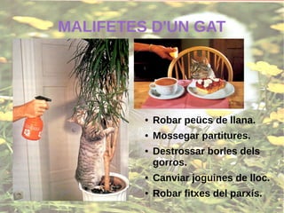 MALIFETES D'UN GAT
● Robar peücs de llana.
● Mossegar partitures.
● Destrossar borles dels
gorros.
● Canviar joguines de lloc.
● Robar fitxes del parxís.
 