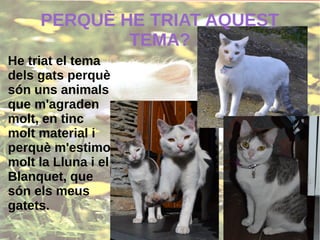 PERQUÈ HE TRIAT AQUEST
TEMA?
He triat el tema
dels gats perquè
són uns animals
que m'agraden
molt, en tinc
molt material i
perquè m'estimo
molt la Lluna i el
Blanquet, que
són els meus
gatets.
 