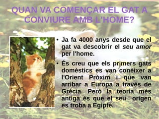 QUAN VA COMENÇAR EL GAT A
CONVIURE AMB L'HOME?
● Ja fa 4000 anys desde que el
gat va descobrir el seu amor
per l'home.
● És creu que els primers gats
domèstics es van conèixer a
l'Orient Pròxim i que van
arribar a Europa a través de
Grècia. Però la teoria més
antiga és que el seu origen
es troba a Egipte.
 