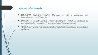 Aparato circulatorio
 APARATO CIRCULATORIO: Circuito cerrado y continuo, sin
comunicación con el exterior.
 DINAMICA SANGUINEA: Puede modificarse según la función de
corazón (bomba), así como la vasomotilidad (tono vascular).
 FUNCION: Aportar un adecuado flujo sanguíneo segun las necesidades
tisulares.
 
