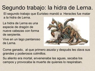 Segundo trabajo: la hidra de Lerna.
El segundo trabajo que Euristeo mandó a Heracles fue matar
a la hidra de Lerna.
La hidra de Lerna es una
especie de dragón de
nueve cabezas con forma
de serpiente.
Vive en un lago pantanoso
de Lerna.

Come ganado, al que primero asusta y después les clava sus
grandes y poderosos colmillos.
Su aliento era mortal, envenenaba las aguas, secaba los
campos y provocaba la muerte de quienes lo respiraban.
 
