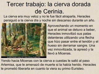 Tercer trabajo: la cierva dorada
              de Cerinia.
 La cierva era muy veloz y no le fue fácil atraparla, Heracles
 persiguió a la cierva día y noche sin descanso durante un año.
                               Aprovechando un momento en
                               que el animal se detuvo a beber,
                               Heracles inmovilizó sus patas
                               delanteras utilizando una flecha
                               que hizo pasar entre el tendón y el
                               hueso sin derramar sangre. Una
                               vez inmovilizada, la apresó y la
                               llevó a Micenas.

Yendo hacia Micenas con la cierva a cuestas le salió al paso
Artemisa, que le amenazó de muerte si la había herido. Heracles
le prometió liberarla en cuanto la viera su primo Euristeo.
 