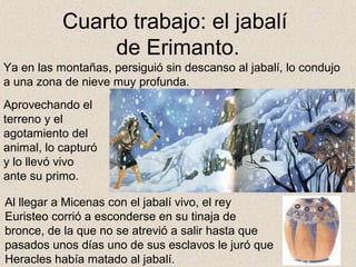 Cuarto trabajo: el jabalí
                de Erimanto.
Ya en las montañas, persiguió sin descanso al jabalí, lo condujo
a una zona de nieve muy profunda.
Aprovechando el
terreno y el
agotamiento del
animal, lo capturó
y lo llevó vivo
ante su primo.

Al llegar a Micenas con el jabalí vivo, el rey
Euristeo corrió a esconderse en su tinaja de
bronce, de la que no se atrevió a salir hasta que
pasados unos días uno de sus esclavos le juró que
Heracles había matado al jabalí.
 