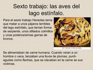 Sexto trabajo: las aves del
             lago estínfalo.
Para el sexto trabajo Heracles tenía
que matar a unos pájaros terribles
del lago estínfalo, que tenían forma
de serpiente, unos afilados colmillos
y unas poderosísimas garras de
bronce.



Se alimentaban de carne humana. Cuando veían a un
hombre o vaca, lanzaban una lluvia de plumas, punti-
agudas como flechas, que se clavaban en la carne se sus
victimas.
 