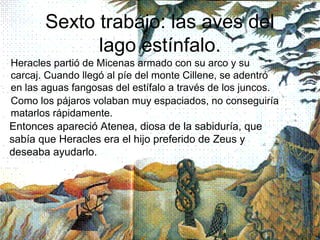 Sexto trabajo: las aves del
             lago estínfalo.
Heracles partió de Micenas armado con su arco y su
carcaj. Cuando llegó al píe del monte Cillene, se adentró
en las aguas fangosas del estífalo a través de los juncos.
Como los pájaros volaban muy espaciados, no conseguiría
matarlos rápidamente.
Entonces apareció Atenea, diosa de la sabiduría, que
sabía que Heracles era el hijo preferido de Zeus y
deseaba ayudarlo.
 