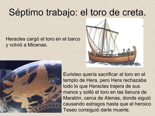 Séptimo trabajo: el toro de creta.

Heracles cargó el toro en el barco
y volvió a Micenas.




                          Euristeo quería sacrificar al toro en el
                          templo de Hera, pero Hera rechazaba
                          todo lo que Heracles trajera de sus
                          manos y soltó el toro en las llanura de
                          Maratón, cerca de Atenas, donde siguió
                          causando estragos hasta que el heroico
                          Teseo consiguió darle muerte.
 