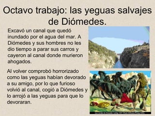 Octavo trabajo: las yeguas salvajes
          de Diómedes.
 Excavó un canal que quedó
 inundado por el agua del mar. A
 Diómedes y sus hombres no les
 dio tiempo a parar sus carros y
 cayeron al canal donde murieron
 ahogados.
Al volver comprobó horrorizado
como las yeguas habían devorado
a su amigo, por lo que furioso
volvió al canal, cogió a Diómedes y
lo arrojó a las yeguas para que lo
devoraran.
 