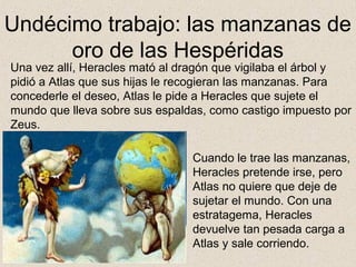 Undécimo trabajo: las manzanas de
      oro de las Hespéridas
Una vez allí, Heracles mató al dragón que vigilaba el árbol y
pidió a Atlas que sus hijas le recogieran las manzanas. Para
concederle el deseo, Atlas le pide a Heracles que sujete el
mundo que lleva sobre sus espaldas, como castigo impuesto por
Zeus.

                                Cuando le trae las manzanas,
                                Heracles pretende irse, pero
                                Atlas no quiere que deje de
                                sujetar el mundo. Con una
                                estratagema, Heracles
                                devuelve tan pesada carga a
                                Atlas y sale corriendo.
 