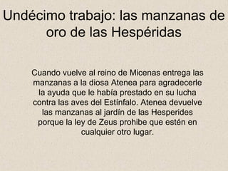 Undécimo trabajo: las manzanas de
      oro de las Hespéridas

    Cuando vuelve al reino de Micenas entrega las
    manzanas a la diosa Atenea para agradecerle
     la ayuda que le había prestado en su lucha
    contra las aves del Estínfalo. Atenea devuelve
      las manzanas al jardín de las Hesperides
     porque la ley de Zeus prohibe que estén en
                 cualquier otro lugar.
 