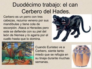 Duodécimo trabajo: el can
         Cerbero del Hades.
Cerbero es un perro con tres
cabezas, rezuma veneno por sus
mandíbulas y tiene cola de
escorpión. Ataca a Heracles pero
este se defiende con su piel del
león de Nemea y lo agarra por el
cuello hasta que lo domina.

                      Cuando Euristeo ve a
                      Cerbero, siente tanto
                      miedo que se refugia en
                      su tinaja durante muchas
                      semanas.
 