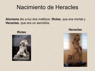 Nacimiento de Heracles
Alcmena dio a luz dos mellizos: Ificles, que era mortal y
Heracles, que era un semidiós.

                                             Heracles
        Ificles
 
