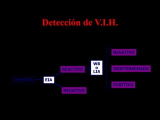 Detección de V.I.H.


                                 NEGATIVO

                           WB
                REACTIVO    o    INDETERMINADO
                           LIA

MUESTRA   EIA
                                 POSITIVO
                NEGATIVO
 