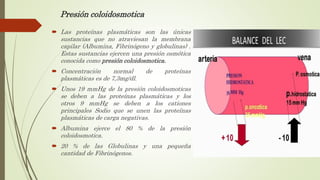 Presión coloidosmotica
 Las proteínas plasmáticas son las únicas
sustancias que no atraviesan la membrana
capilar (Albumina, Fibrinógeno y globulinas) .
Estas sustancias ejercen una presión osmótica
conocida como presión coloidosmotica.
 Concentración normal de proteínas
plasmáticas es de 7,3mg/dl.
 Unos 19 mmHg de la presión coloidosmoticas
se deben a las proteínas plasmáticas y los
otros 9 mmHg se deben a los cationes
principales Sodio que se unen las proteínas
plasmáticas de carga negativas.
 Albumina ejerce el 80 % de la presión
coloidosmotica.
 20 % de las Globulinas y una pequeña
cantidad de Fibrinógenos.
 