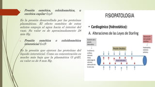  Presión osmótica, coloidosmótica, u
oncótica capilar (πp):
Es la presión desarrollada por las proteínas
plasmáticas. El efecto osmótico de estos
solutos empuja al agua hacia el interior del
vaso. Su valor es de aproximadamente 28
mm Hg.
 Presión osmótica o coloidosmótica
intersticial (πif):
Es la presión que ejercen las proteínas del
líquido intersticial. Como su concentración es
mucho más baja que la plasmática (3 g/dl),
su valor es de 8 mm Hg.
 