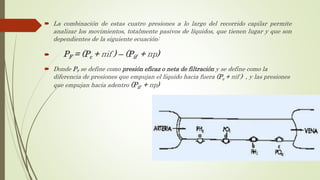 La combinación de estas cuatro presiones a lo largo del recorrido capilar permite
analizar los movimientos, totalmente pasivos de líquidos, que tienen lugar y que son
dependientes de la siguiente ecuación:
 PF = (Pc + πif ) – (Pif + πp)
 Donde PF se define como presión eficaz o neta de filtración y se define como la
diferencia de presiones que empujan el líquido hacia fuera (Pc + πif ) , y las presiones
que empujan hacia adentro (Pif + πp)
 