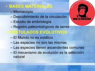 BASES MATERIALES Microscopio Descubrimiento de la circulación Estudio de embriología Registro paleontológicos de seres POSTULADOS EVOLUTIVOS El Mundo no es estático  Las especies no son las mismas Las especies tienen ascendentes comunes El mecanismo de evolución es la selección natural 