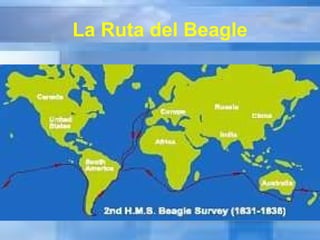 La Ruta del Beagle 