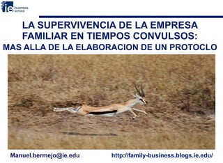 LA SUPERVIVENCIA DE LA EMPRESA FAMILIAR EN TIEMPOS CONVULSOS:   MAS ALLA DE LA ELABORACION DE UN PROTOCLO  Manuel.bermejo@ie.edu  http://family-business.blogs.ie.edu/ 