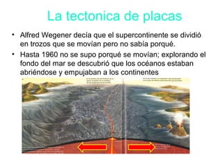 La tectonica de placas
• Alfred Wegener decía que el supercontinente se dividió
en trozos que se movían pero no sabía porqué.
• Hasta 1960 no se supo porqué se movían; explorando el
fondo del mar se descubrió que los océanos estaban
abriéndose y empujaban a los continentes
 