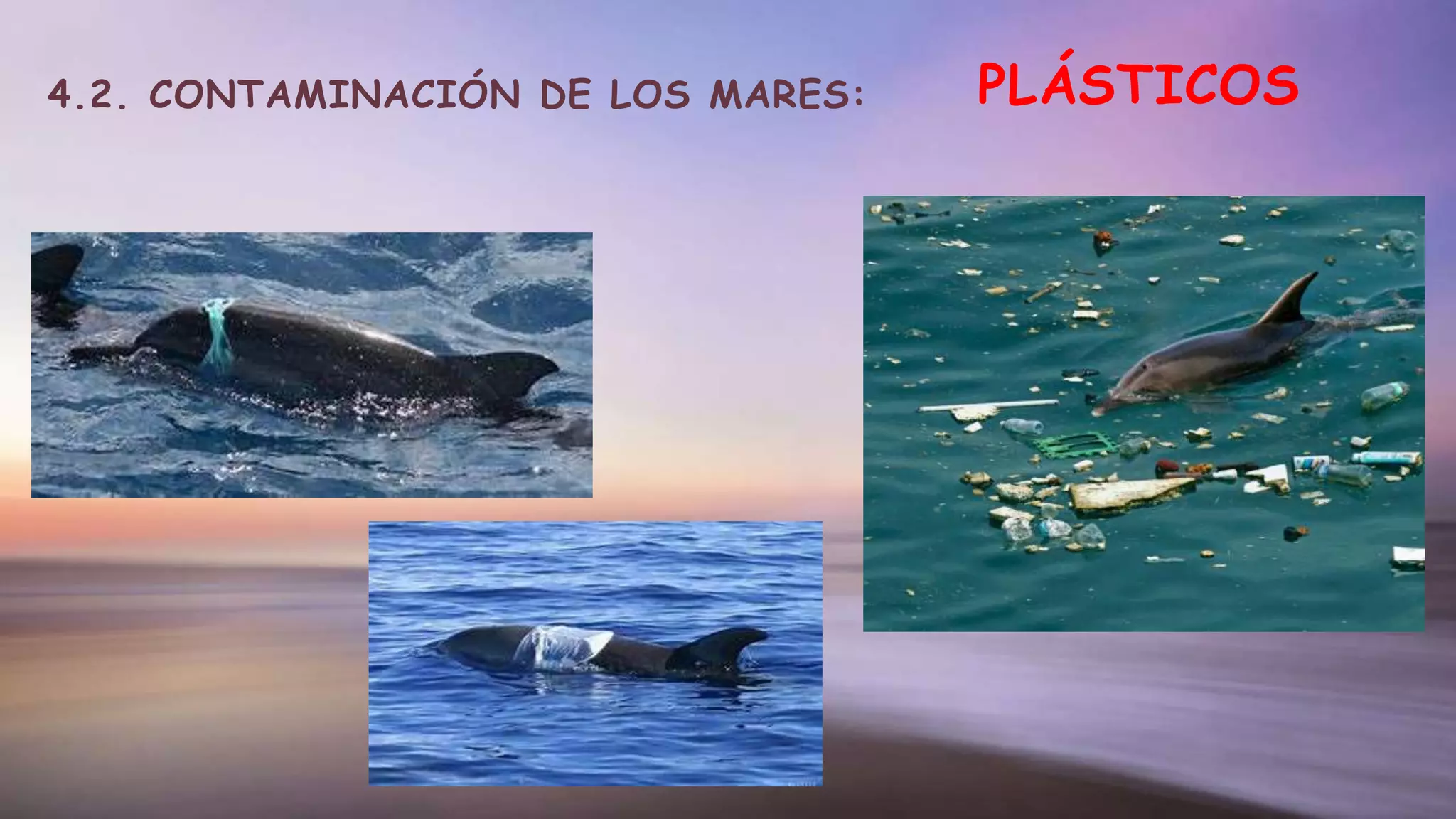 4.2. CONTAMINACIÓN DE LOS MARES: PLÁSTICOS
 