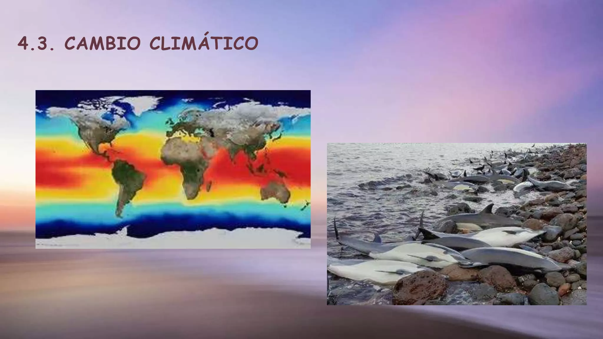 4.3. CAMBIO CLIMÁTICO
 