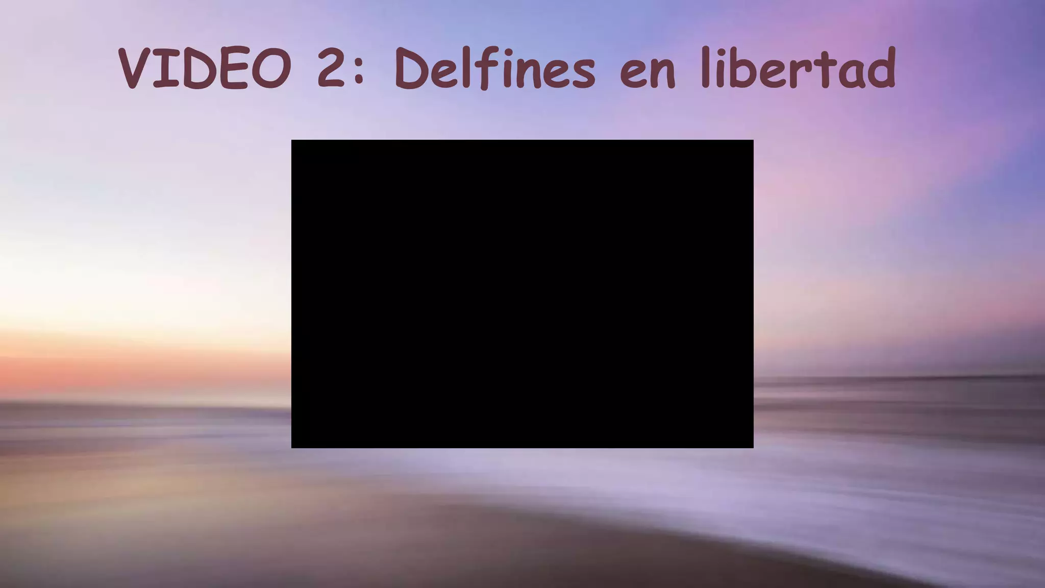 VIDEO 2: Delfines en libertad
 
