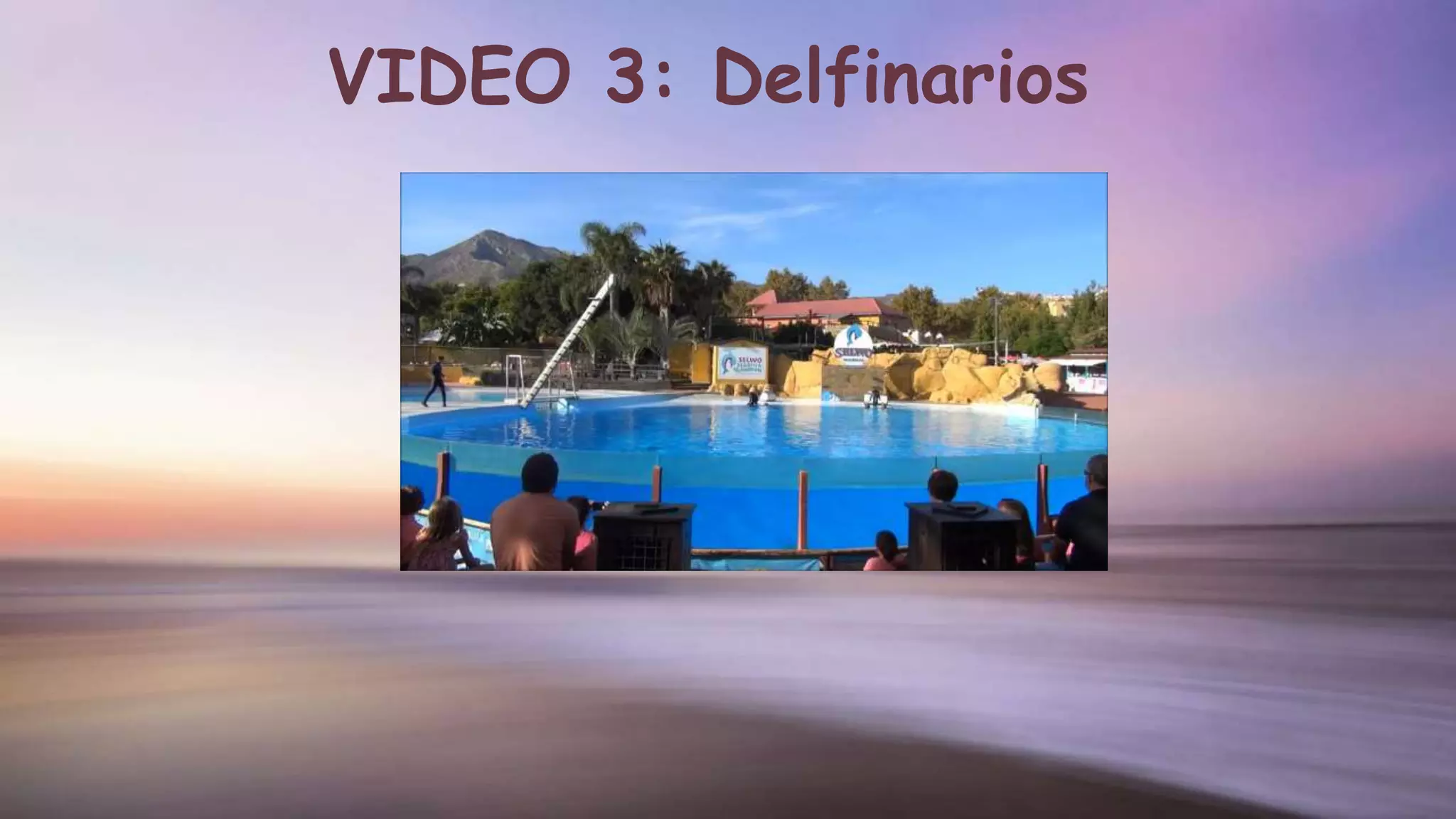 VIDEO 3: Delfinarios
 