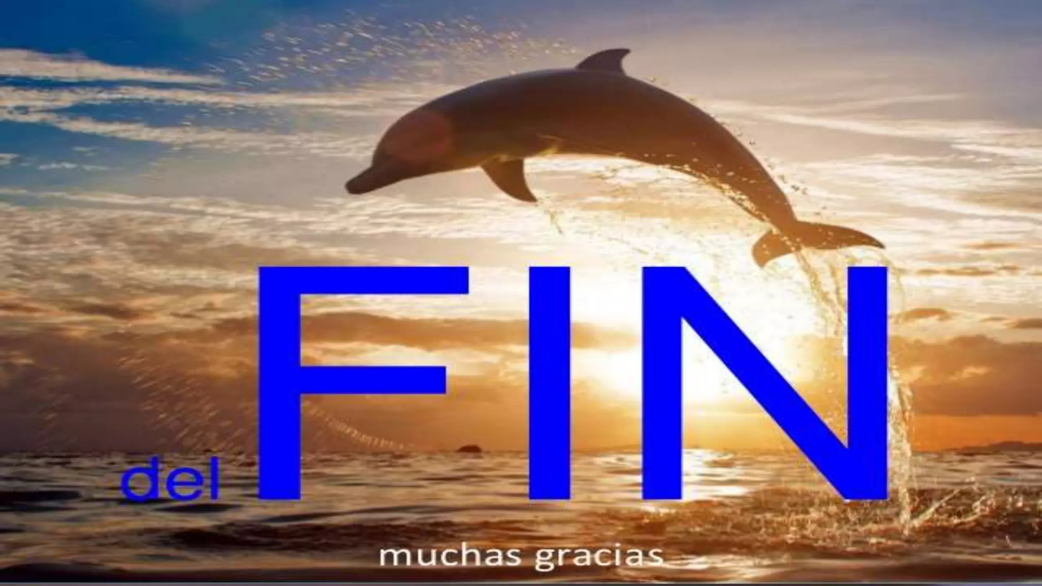 FIN
 