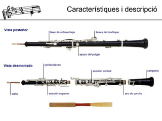 Característiques i descripció
 
