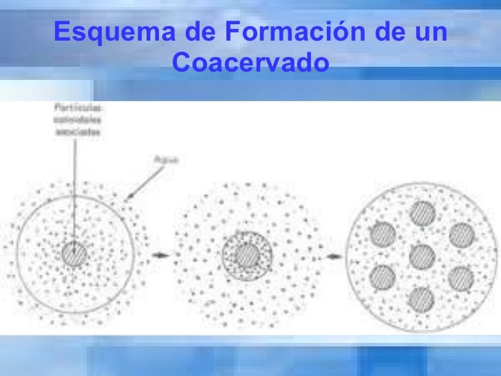 Conferencia origen de la vida