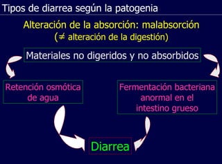 Tipos de diarrea según la patogenia Alteración de la absorción: malabsorción (=  alteración de la digestión) Materiales no digeridos y no absorbidos Retención osmótica de agua Diarrea Fermentación bacteriana anormal en el intestino grueso 