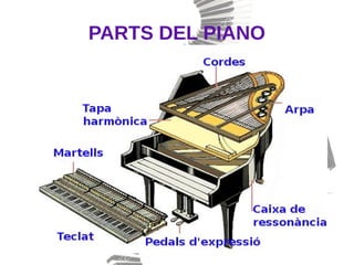 PARTS DEL PIANO
 
