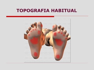 TOPOGRAFIA HABITUAL
 
