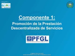 Componente 1:
Promoción de la Prestación
Descentralizada de Servicios




                               1
 