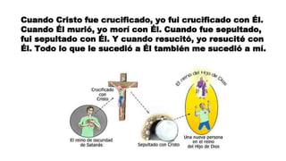 Cuando Cristo fue crucificado, yo fui crucificado con Él.
Cuando Él murió, yo morí con Él. Cuando fue sepultado,
fui sepultado con Él. Y cuando resucitó, yo resucité con
Él. Todo lo que le sucedió a Él también me sucedió a mí.
 