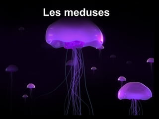 Les meduses
 