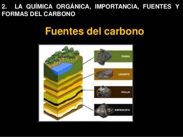 ¿Química orgánica o del carbono?