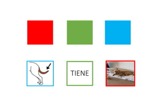 TIENE
 