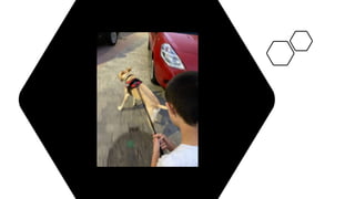 Conferencia rafa kala