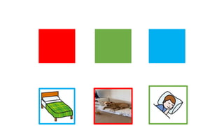 Conferencia rafa kala