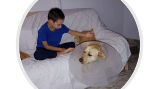 Conferencia rafa kala