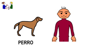 PERRO
 