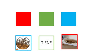 TIENE
 