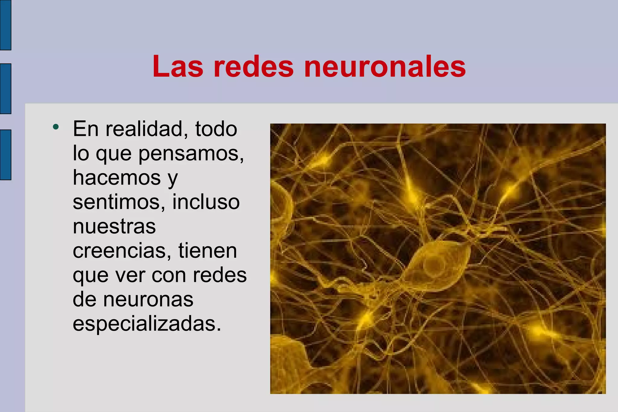 Las redes neuronales


En realidad, todo
lo que pensamos,
hacemos y
sentimos, incluso
nuestras
creencias, tienen
que ver con redes
de neuronas
especializadas.

 