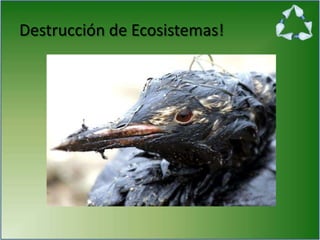 Destrucción de Ecosistemas!
 
